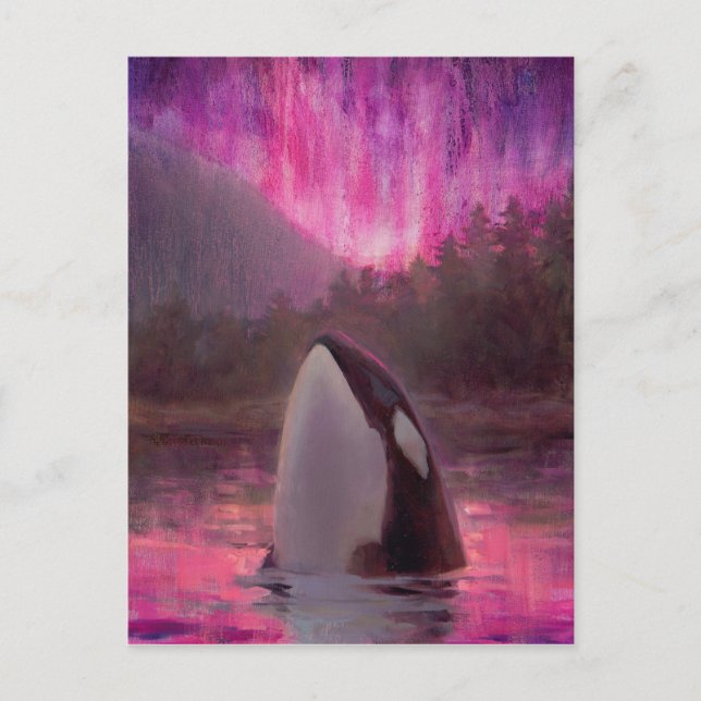 Carte Postale Orca et Pink/Magenta Lumières du Nord (Devant)