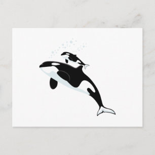 Carte Postale Orca Killer Whale