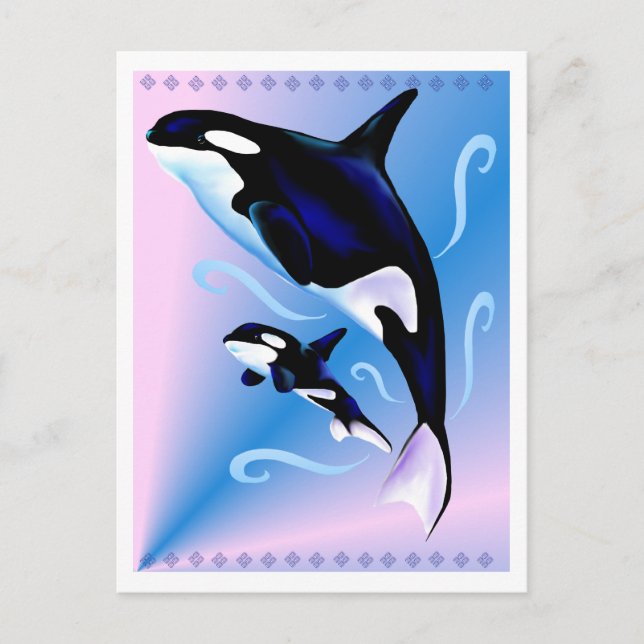 Carte Postale Orca Mom and Baby Postcard (Devant)