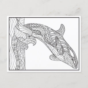 Carte postale Orca noir et blanc