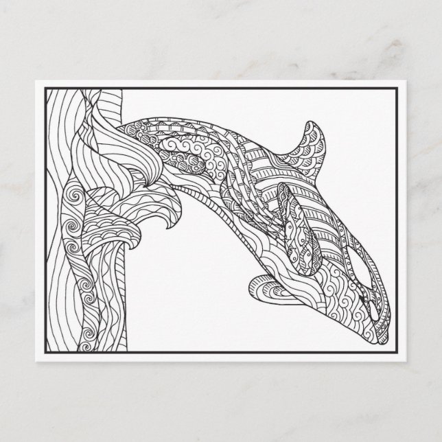 Carte postale Orca noir et blanc (Devant)