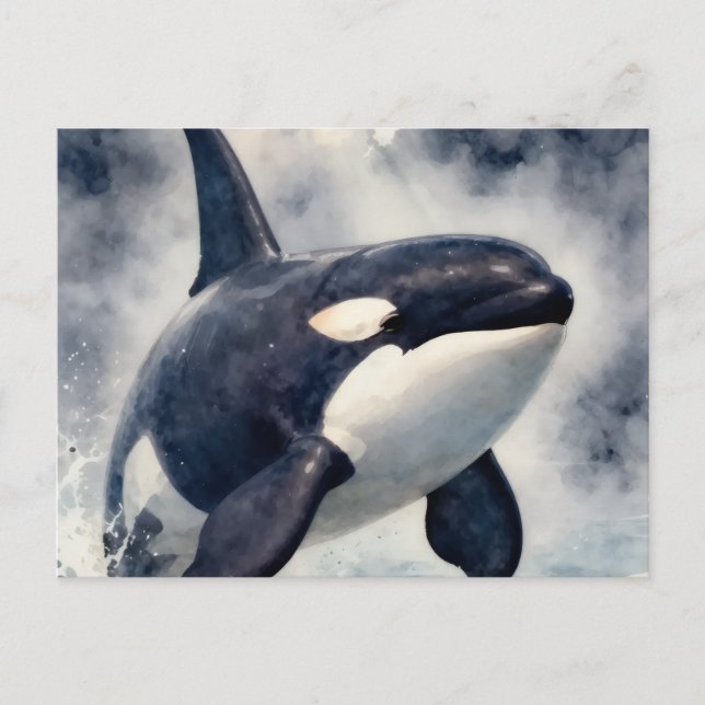 Carte Postale Orca Stormy waves (Devant)