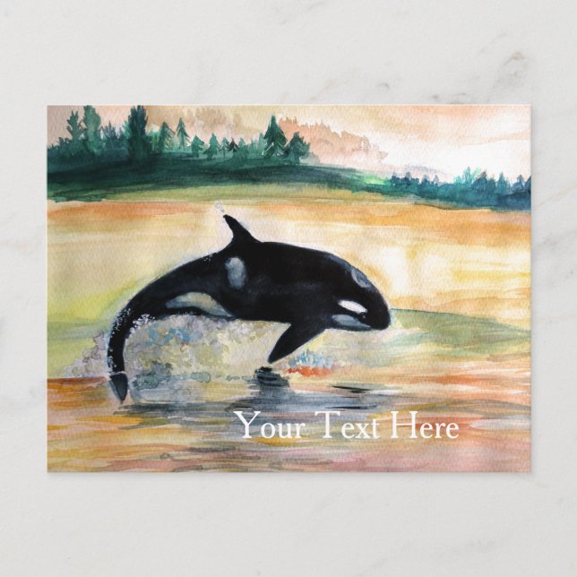 Carte postale Orca Whale Gratuite (Devant)