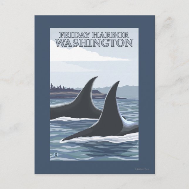 Carte Postale Orca Whales #1 - Friday Harbour, Washington (Devant)