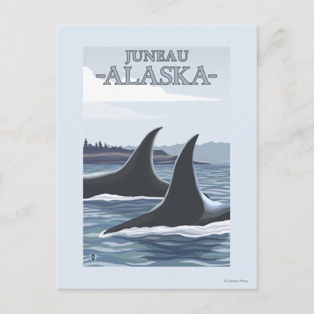 Carte Postale Orca Whales #1 - Juneau, Alaska (Devant)