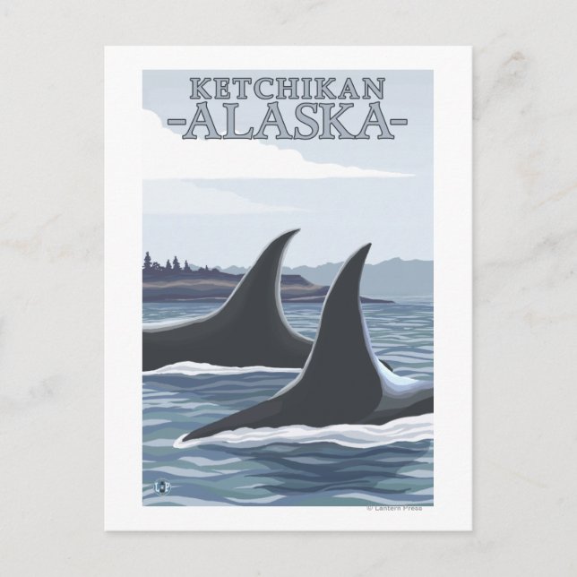 Carte Postale Orca Whales #1 - Ketchikan, Alaska (Devant)