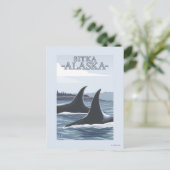 Carte Postale Orca Whales #1 - Sitka, Alaska (Debout devant)
