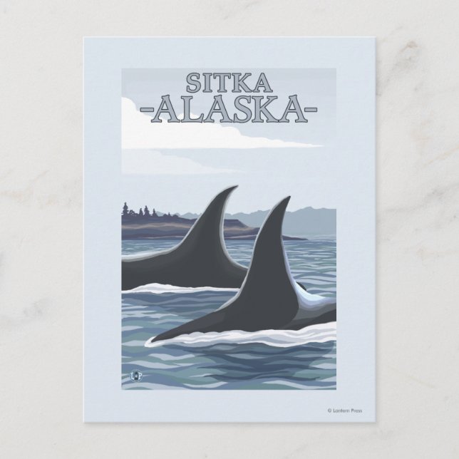 Carte Postale Orca Whales #1 - Sitka, Alaska (Devant)