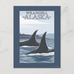 Carte Postale Orca Whales #1 - Wrangell, Alaska
