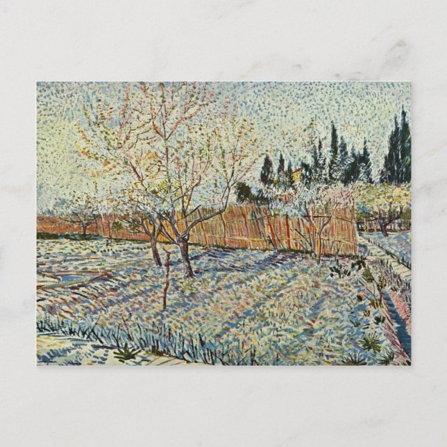 Carte Postale Orchard Avec Cypress Par Vincent Van Gogh (Devant)