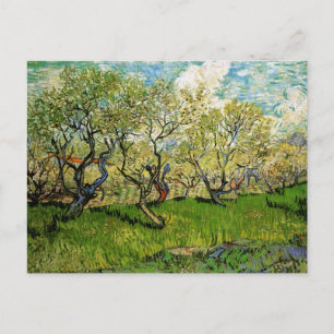 Carte Postale Orchard de Blossom Amsterdam Van Gogh Art