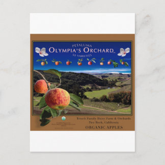 Carte Postale Orchard d'Olympia