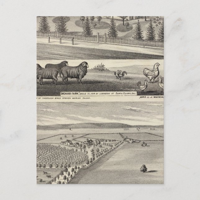 Carte Postale Orchard Farm, Somerville Lodge (Devant)