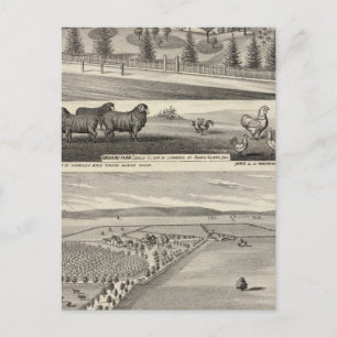 Carte Postale Orchard Farm, Somerville Lodge