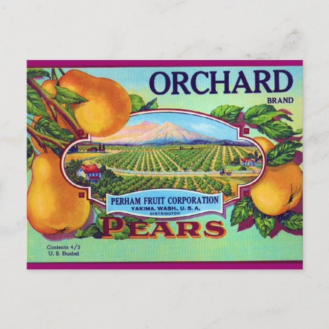 Carte Postale Orchard Pears (Devant)