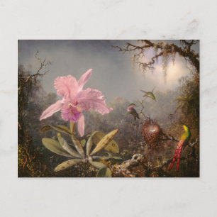 Carte Postale Orchidée de Cattleya et trois colibris