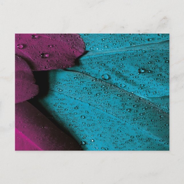 Carte Postale Orchidée foncée et plumage Turquoise (Devant)