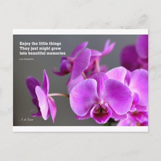 Carte Postale Orchidee Mauve Lilas Violet Citation Inspirante Zazzle Fr