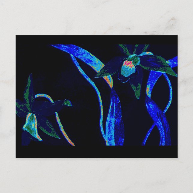 Carte Postale Orchidée nocturne (Devant)