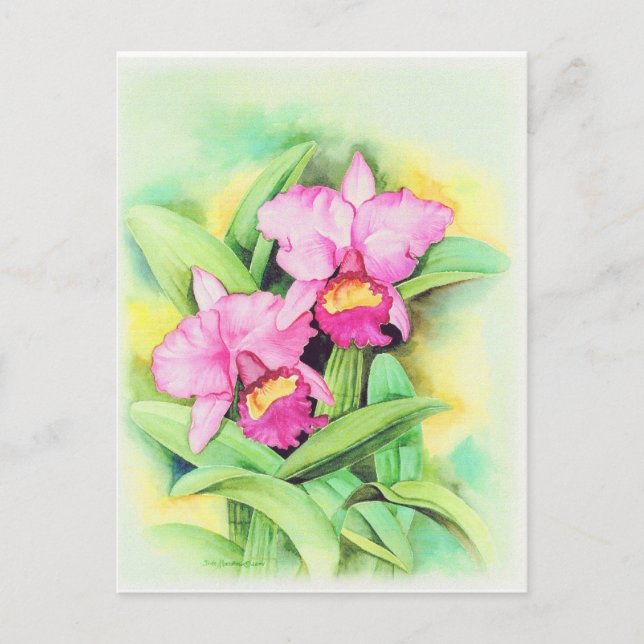 Carte Postale Orchidée rose - Art - Multi (Devant)