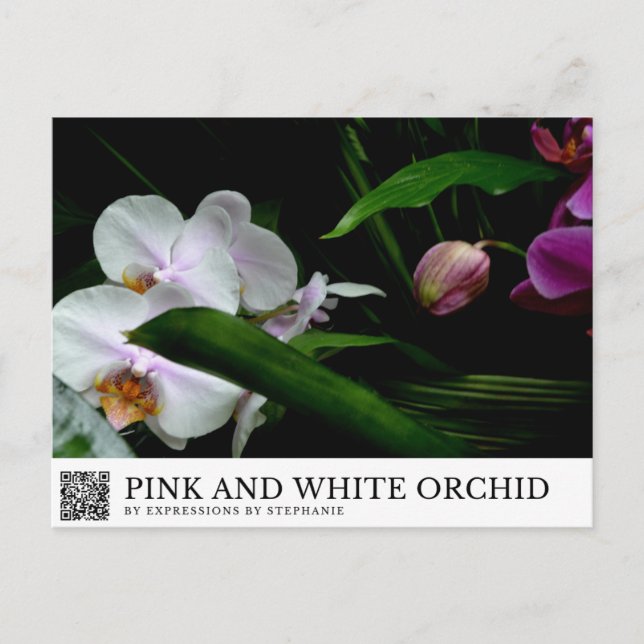 Carte Postale Orchidée rose et blanche (Devant)