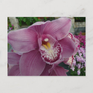 Carte Postale Orchidée violette et jardin coloré Floral