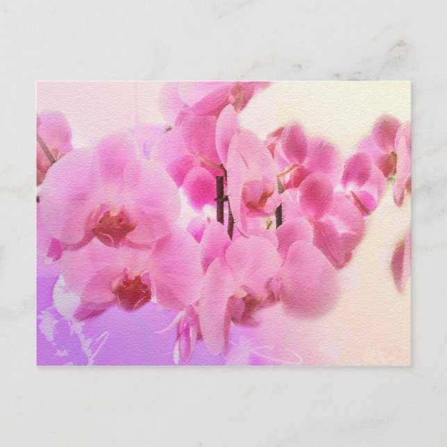 Carte Postale orchidées. (Devant)