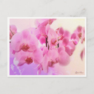 Carte Postale orchidées