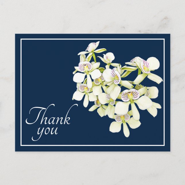 Carte Postale Orchidées à nervures blanches Fond marine Merci (Devant)