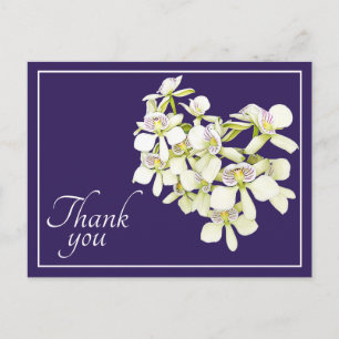 Carte Postale Orchidées à nervures blanches Fond violet Merci