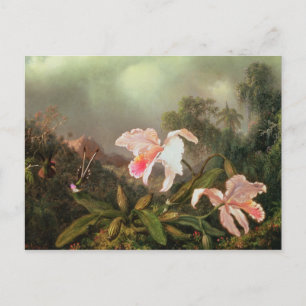 Carte Postale Orchidées de la jungle et colibris, 1872