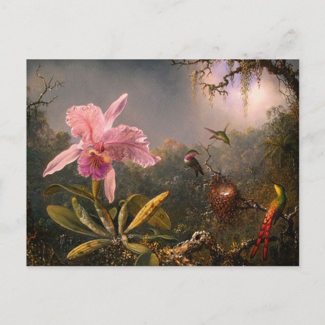 Carte postale : Orchidées et colibris (Devant)