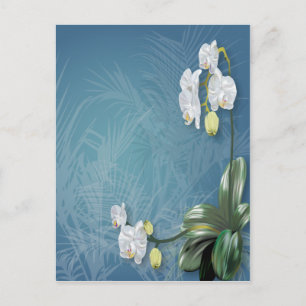 Carte Postale Orchidées et fougères