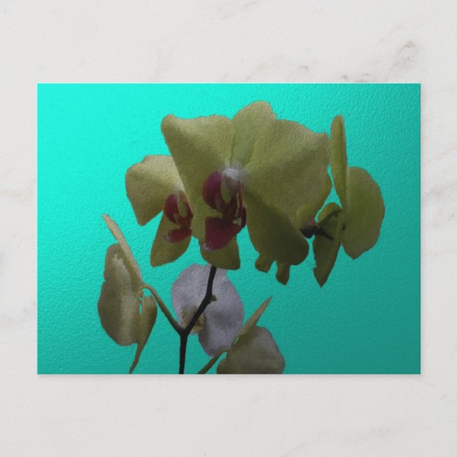 Carte Postale Orchidées : Jaune et Blanc (Devant)