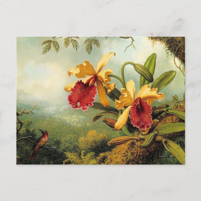 Carte Postale Orchidées jaunes (Devant)