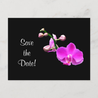 Carte Postale Orchidées roses brillantes Enregistrer la date de