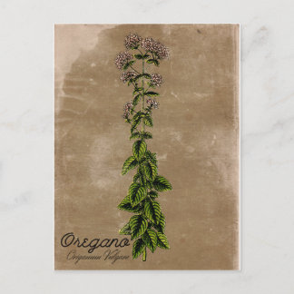 Carte postale Oregano de style vintage