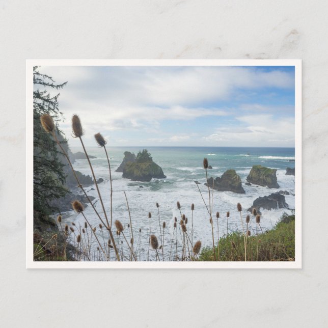 Carte Postale Oregon Coast Arch Rock State Park Brookings Beach (Devant)