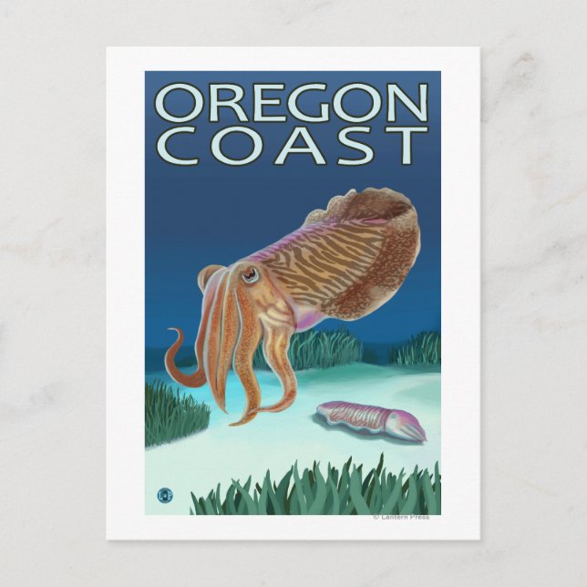 Carte Postale Oregon Coast Cuttlefish (Devant)