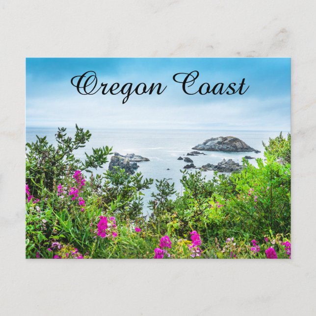 Carte Postale Oregon Coast Postcard (Devant)