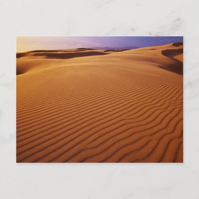 Carte Postale Oregon Dunes National Recreation Area, Oregon à (Devant)