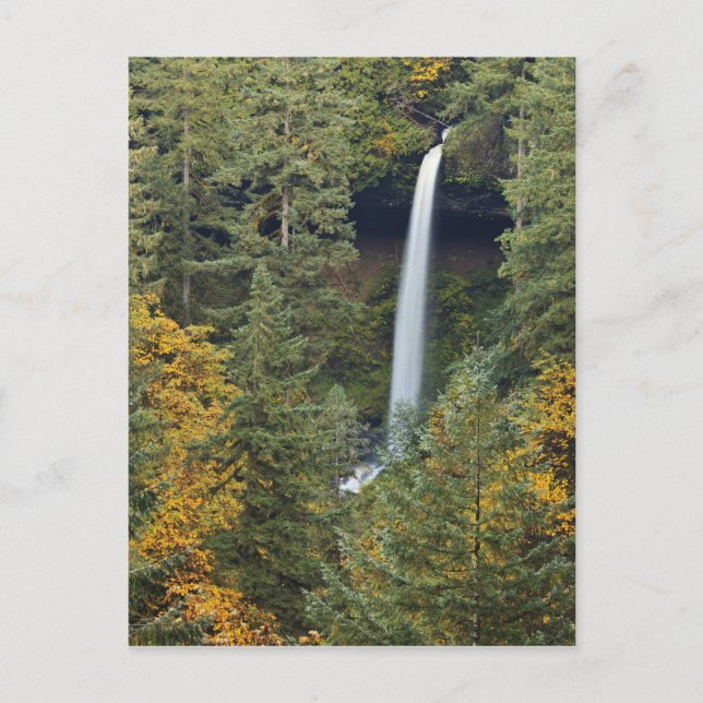 Carte Postale Oregon, parc d'État de Silver Falls, North Falls (Devant)