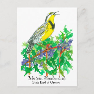 Carte Postale Oregon State Flower Bird Meadowlark
