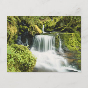 Carte Postale Oregon, Waterfall in Willamette national