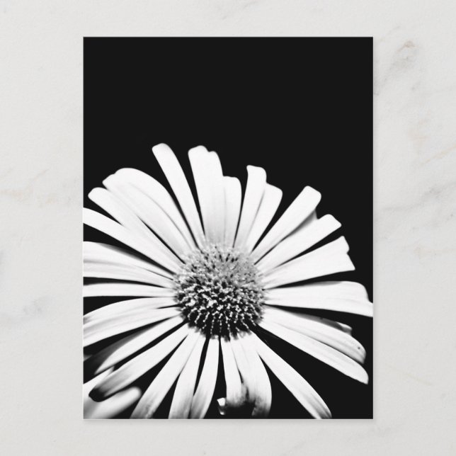 Carte postale orfèvre Doronicum (noir et blanc) (Devant)