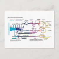Organigramme du processus du système de justice pé