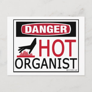 Carte Postale Organiste