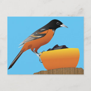 Carte Postale Oriole Postcard