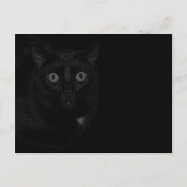 Carte Postale Orion Mon Chat BlackOut  (Devant)