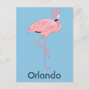 Carte Postale Orlando Floride Flamant Rose